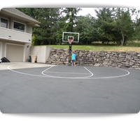 basketball hoops and basketball systems